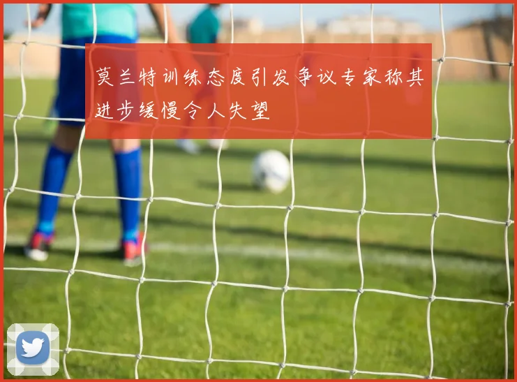 莫兰特训练态度引发争议专家称其进步缓慢令人失望