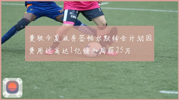 曼联今夏放弃签帕尔默转会计划因费用过高达1亿镑加周薪25万